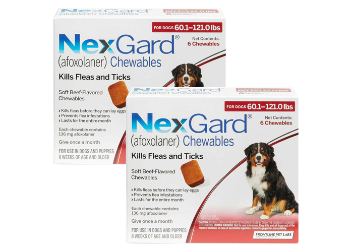 Best 8 Flea Medication for Dogs: Vet Approved Selection