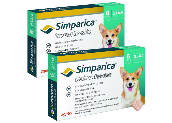 Best 8 Flea Medication for Dogs: Vet Approved Selection