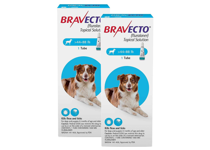 Best 8 Flea Medication for Dogs: Vet Approved Selection