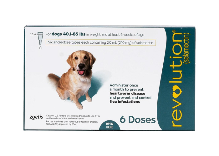 Best 8 Flea Medication for Dogs: Vet Approved Selection