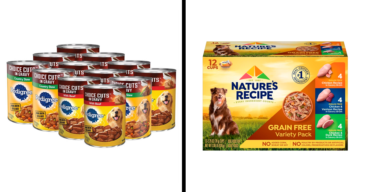 10 Best Wet Dog Foods of 2024 Expert Reviews and Recommendations