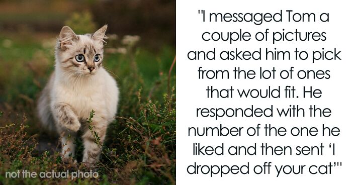 “[Am I The Jerk] For Calling Off My $40K Wedding Because My Fiancé Dropped My Cat Off Somewhere?”