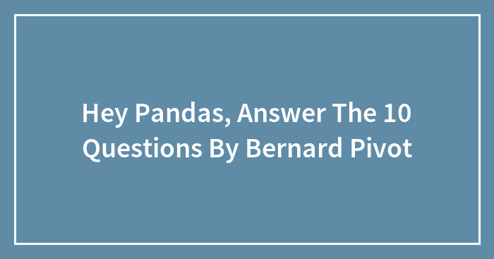 Hey Pandas, Answer The 10 Questions By Bernard Pivot