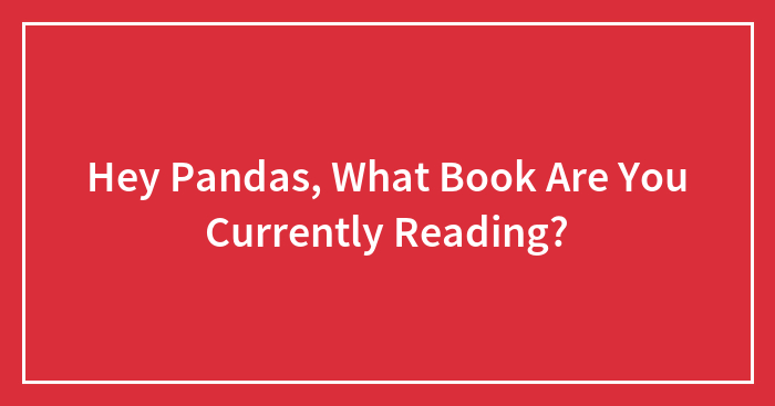 Hey Pandas, What Book Are You Currently Reading? (Closed)