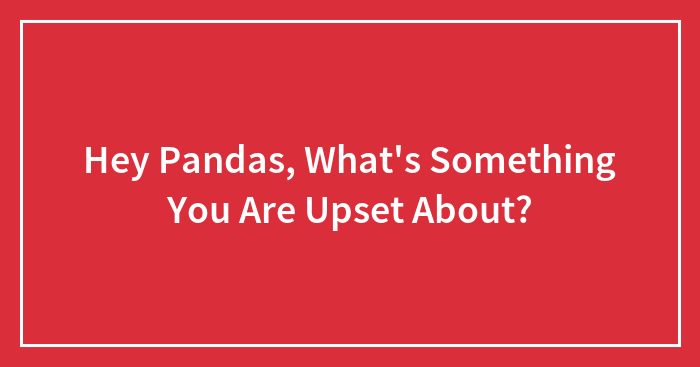 Hey Pandas, What’s Something You Are Upset About? (Closed)