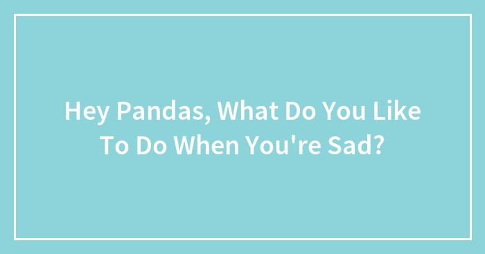 Hey Pandas, What Do You Like To Do When You’re Sad? (Closed)