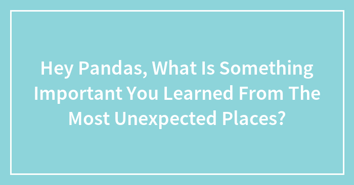 Hey Pandas, What Is Something Important You Learned From The Most Unexpected Places?