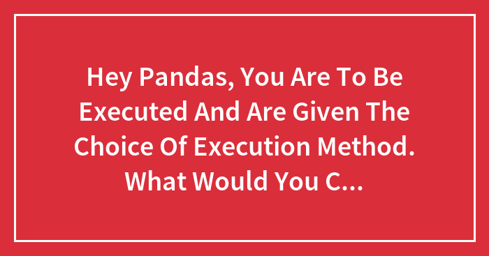 Hey Pandas, You Are To Be Executed And Are Given The Choice Of Execution Method. What Would You Choose?