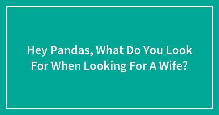 Hey Pandas, What Do You Look For When Looking For A Wife?