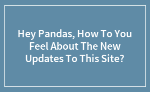 Hey Pandas, How Do You Feel About The New Updates To This Site?