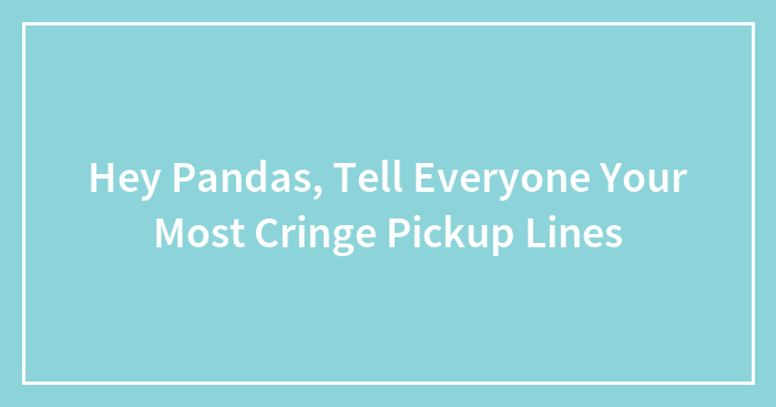 Hey Pandas, Tell Everyone Your Most Cringe Pickup Lines (Closed)