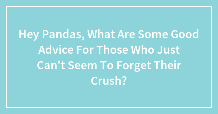 Hey Pandas, What Are Some Good Advice For Those Who Just Can’t Seem To Forget Their Crush? (Closed)