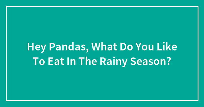 Hey Pandas, What Do You Like To Eat In The Rainy Season?