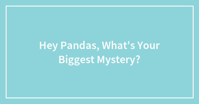 Hey Pandas, What’s Your Biggest Mystery? (Closed)