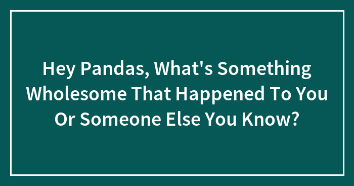 Hey Pandas, What’s Something Wholesome That Happened To You Or Someone Else You Know?