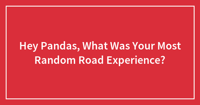 Hey Pandas, What Was Your Most Random Road Experience?