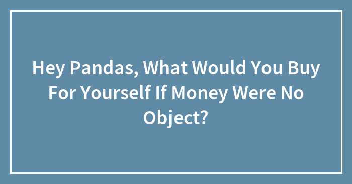 Hey Pandas, What Would You Buy For Yourself If Money Were No Object? (Closed)