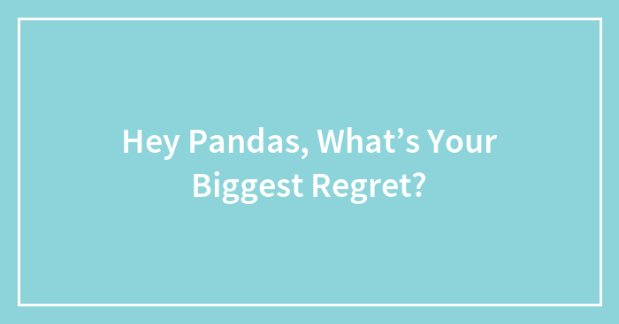 Hey Pandas, What’s Your Biggest Regret? (Closed)