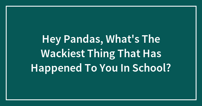 Hey Pandas, What’s The Wackiest Thing That Has Happened To You In School? (Closed)