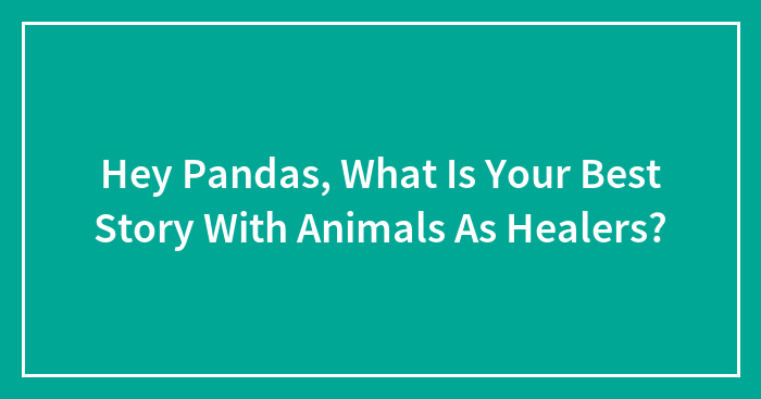 Hey Pandas, What Is Your Best Story With Animals As Healers? (Closed)