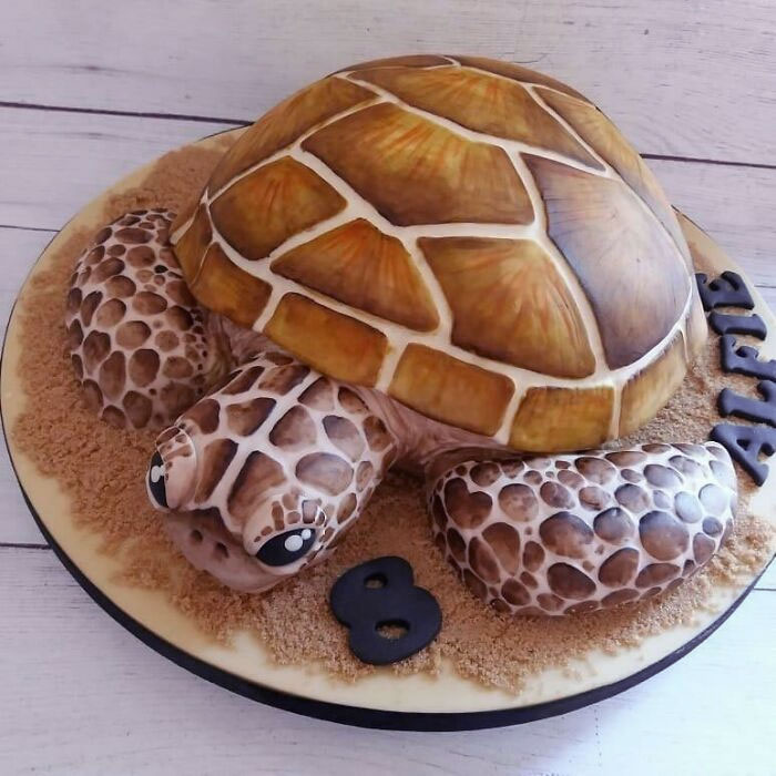 Hand-Painted Turtle Cake