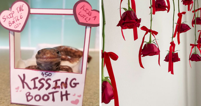 114 Times People Took Valentine's Day Decorations To Another Level (New Pics)