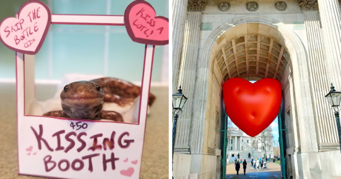 114 Times People Raised The Bar With Their Inspired Valentine’s Day Decorations (New Pics)