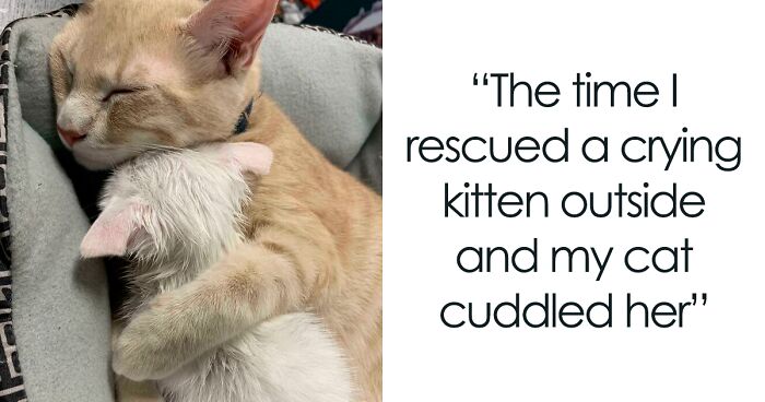 0 Pics Of Happily Adopted Pets That Might Just Make You Smile Uncontrollably