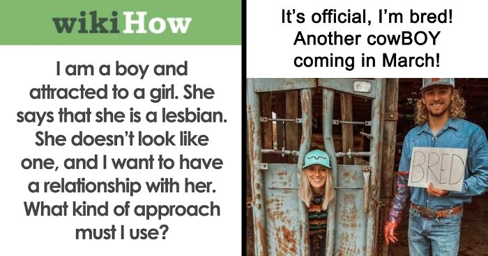 70 Wild Posts That Got People Asking ‘Are The Straights OK?’ (New Pics)