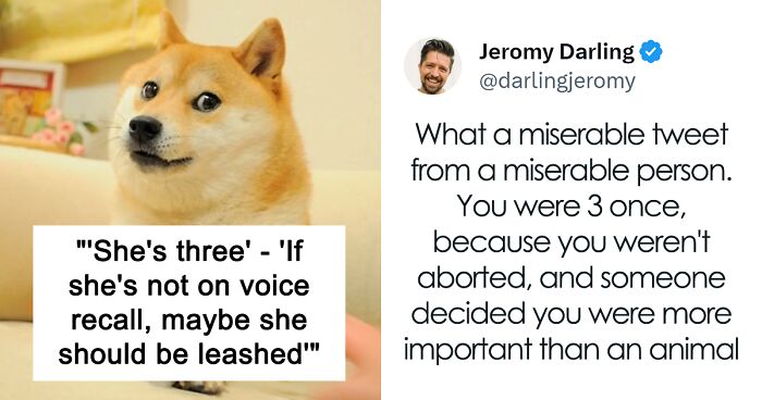 Person Tweets About A Random Kid Running To Her Dog, Gets Over 24M Views And Sparks Debate