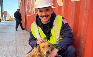 Saved After 8 Days In A Shipping Container, Connie The Dog Is Revealed To Be Expecting