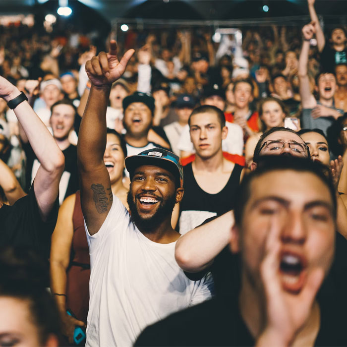 Crowd at the concert