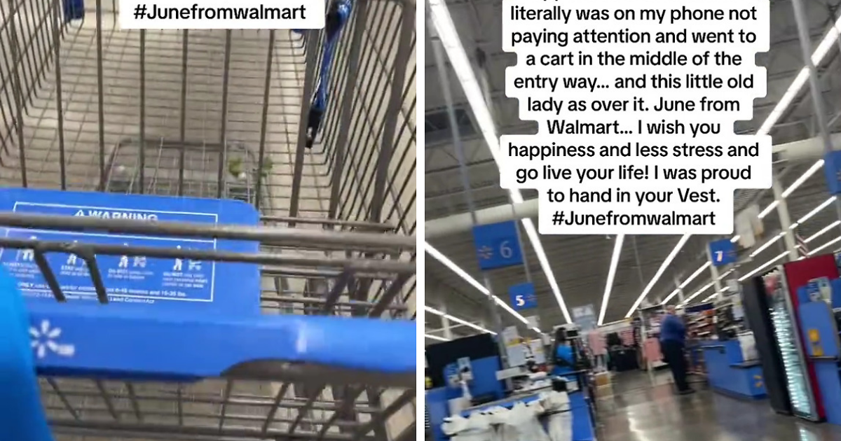 Shopper Ends Up Quitting For Walmart Employee, Who Handed Over Her Vest ...