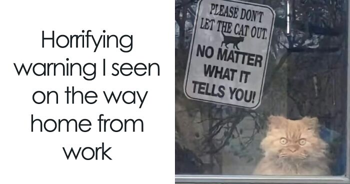 40 Hilarious Posts From “Funniest Memes” That Might Make You Chuckle