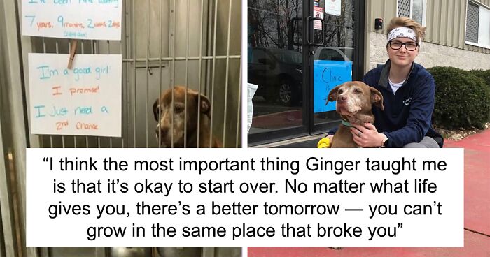 Shelter Dog Was Overlooked For Almost A Decade Until She Found Her Person