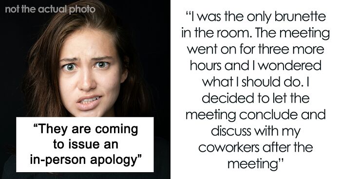 Woman Feels Vindicated When Manager, Whose Insult Towards Her Was Shown Via Screen Share, Apologizes