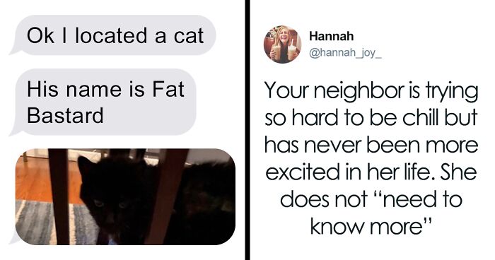 At A Mice-Infested Building, A Landlord Decides To Hire A Cat, Woman Shares The Funny Chat About It