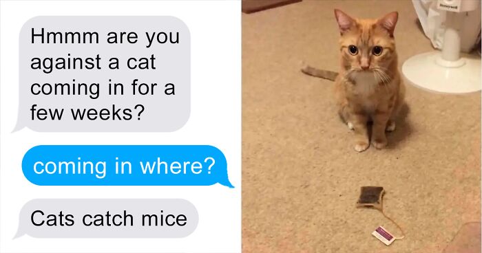 Woman Shares A Hilarious Conversation Between Her And Her Landlord Who Hired A Cat As Pest Control