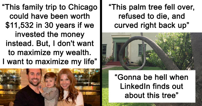 “LinkedIn Is Bizarro World”: This Group Collects Cringy LinkedIn Posts And Here Are The 81 Best (New Pics)