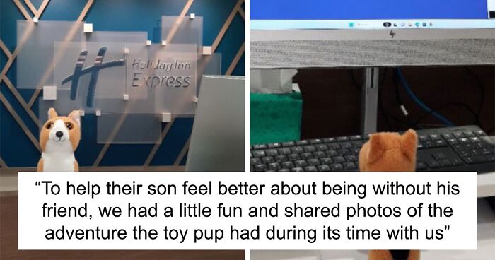 Plush Puppy Gets Royal Treatment By Hotel Staff Until Boy Can Get It Back