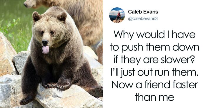 National Park Service Knocks It Out Of The Park With Ridiculous Bear Safety X Posts