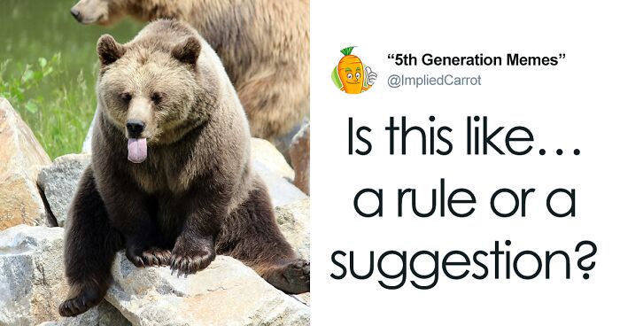 People Online Are Cracking Up At This National Park Service Sign About Safety Around Bears