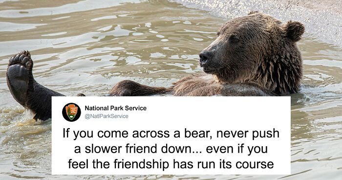 People Online Are Cracking Up At This National Park Service Sign About Safety Around Bears