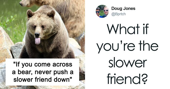 Netizens Are Cracking Up At These Both Viral And Funny 'Bear Safety Tips' On X