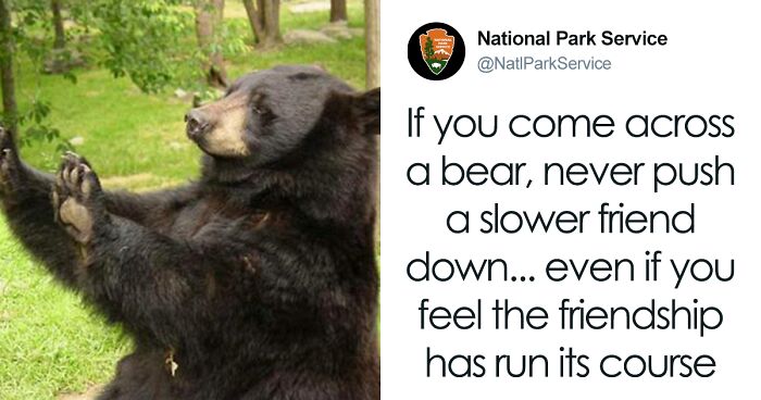 People Online Are Laughing At These Viral ‘Bear Safety Tips’ On X