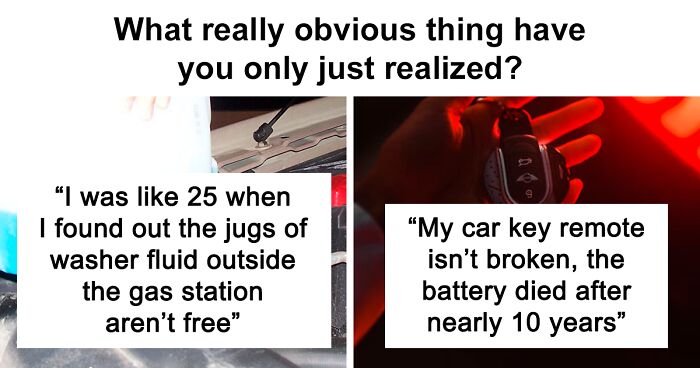 87 Of The Most Obvious Things People Felt Stupid For Not Realizing Earlier