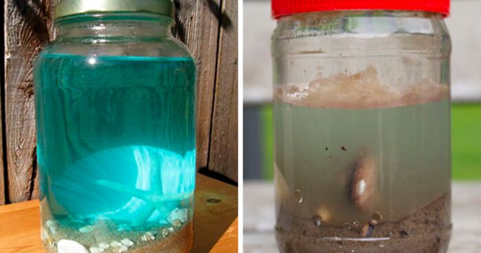 50 DIY Pinterest Projects That Turned Into Hilarious Fails