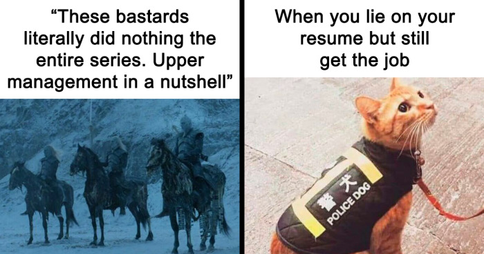 72 Painfully Relatable Memes About The Workplace