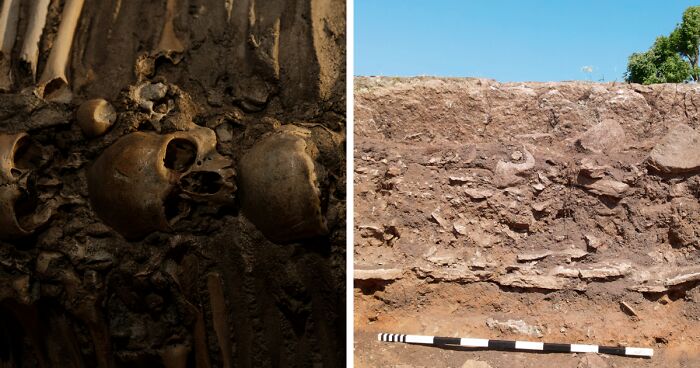 “They Lived By Growing Grain”: 5,500-Year-Old Neolithic Tomb With Remains Found In Sweden