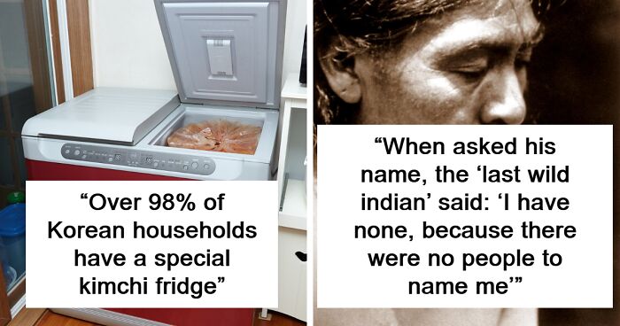 54 Little Known Facts That People Recently Learned And Shared Online (New Facts)